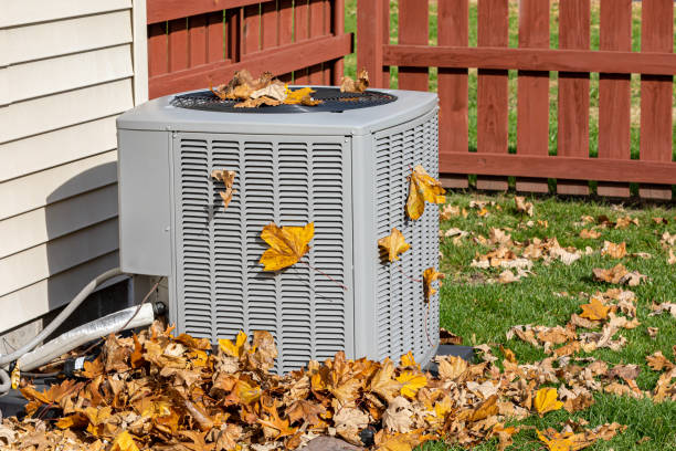 Best Energy-efficient HVAC Solutions in Birch Bay, WA